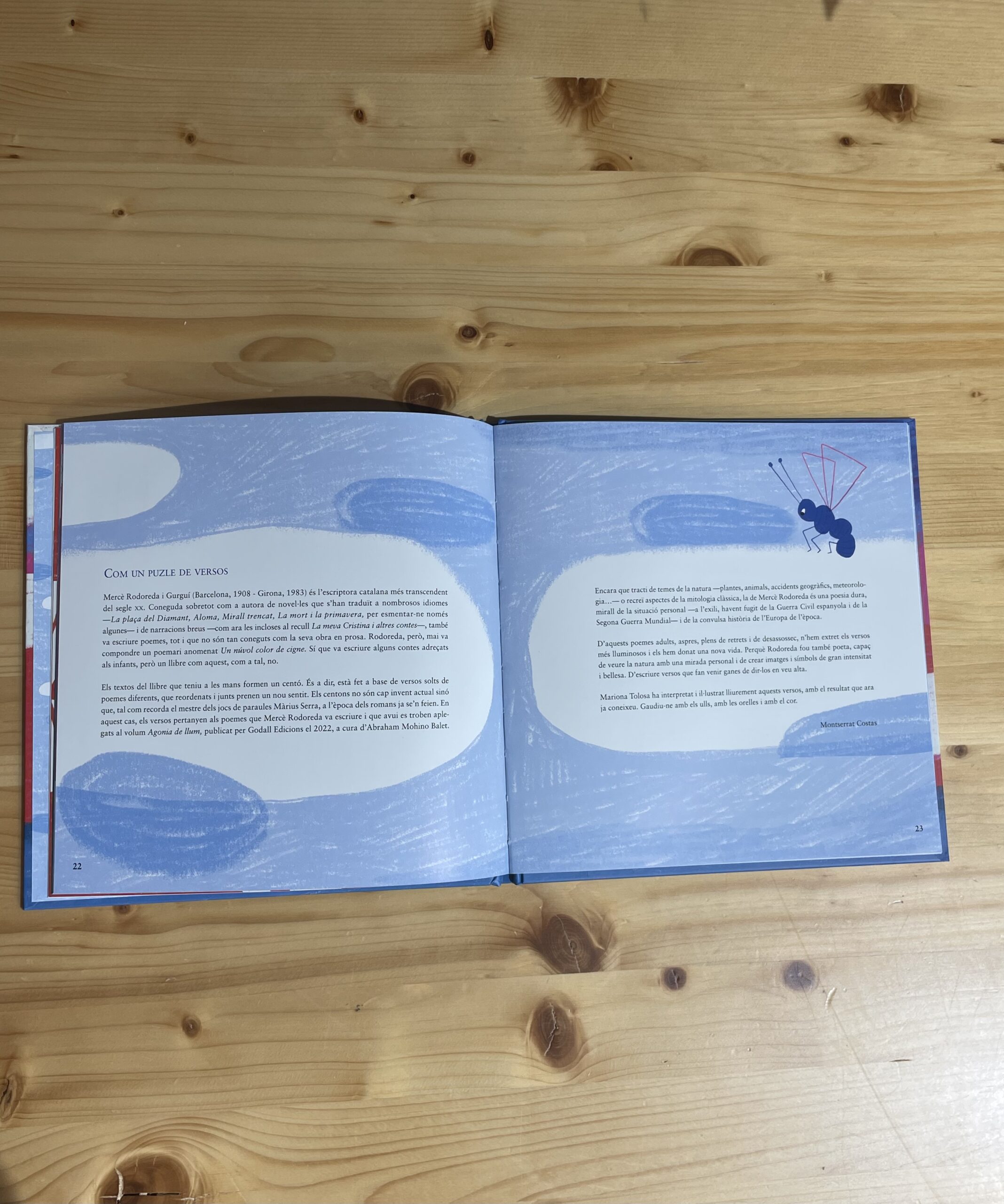 Un núvol de color cigne - Imatge 5