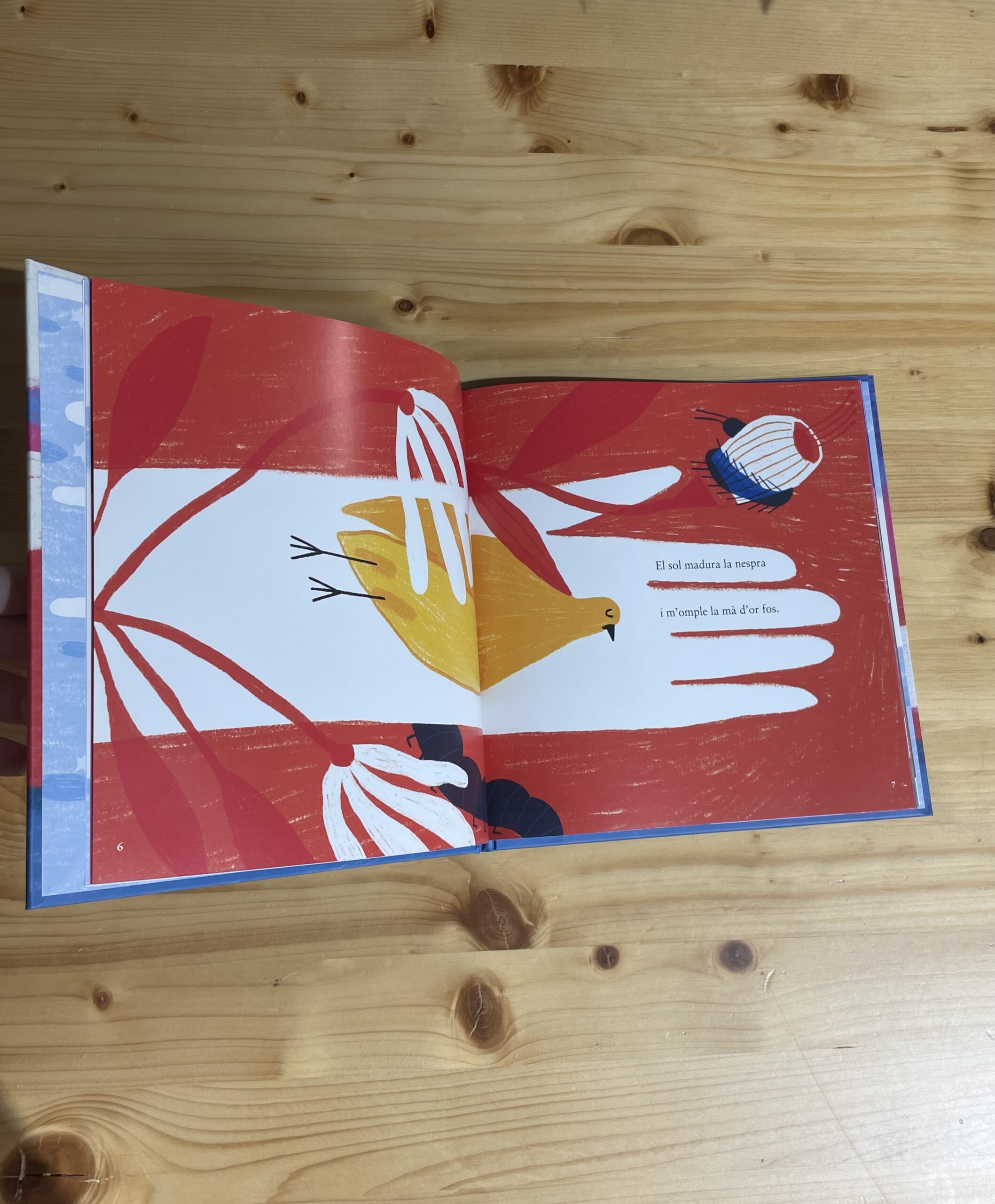 Un núvol de color cigne - Imatge 4